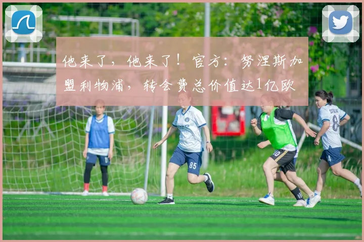 他来了，他来了！官方：努涅斯加盟利物浦，转会费总价值达1亿欧