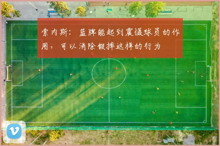 索内斯：蓝牌能起到震慑球员的作用，可以消除假摔这样的行为